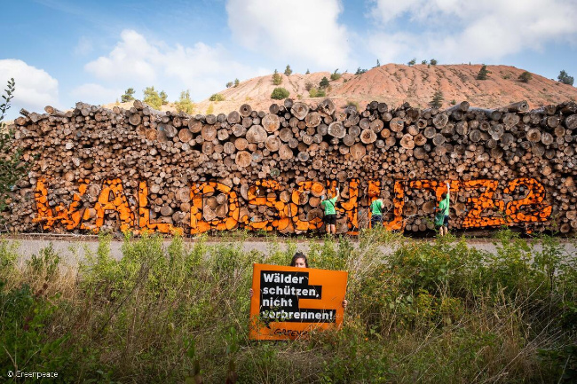 © Greenpeace e. V. Bild zum Eintrag (1075167-160)