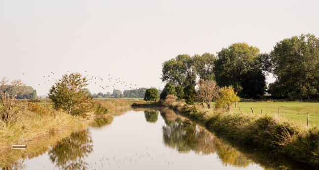 © Claudia Nir - WWF Bild zum Eintrag (1075326-160)