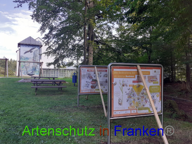 Bild zum Eintrag (1075852-160)