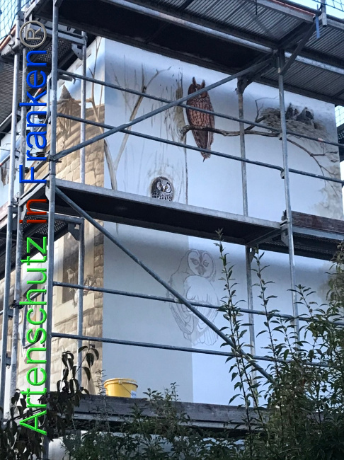 © Artenschutz in Franken® Bild zum Eintrag (1076476-160)