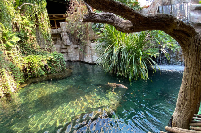 © Tierpark Hagenbeck Gemeinnützige Gesellschaft mbH Bild zum Eintrag (1076671-160)