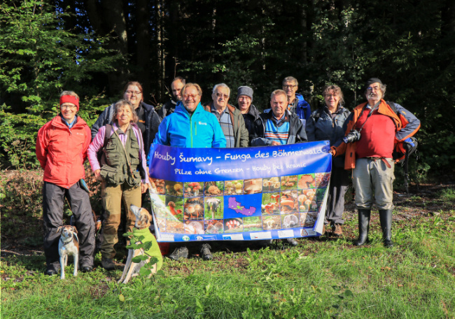 © Foto: Nationalpark Bayerischer Wald Bild zum Eintrag (1076875-160)