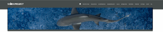 © Sharkproject Bild zum Eintrag (1077021-160)