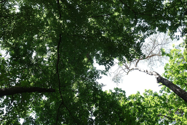 © Tiergarten Nürnberg Bild zum Eintrag (1077041-160)