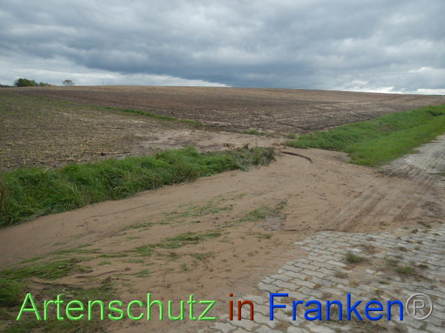 Bild zum Eintrag (1077079-160)