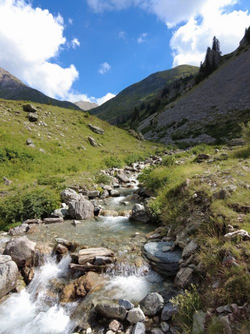 © Eko-svest Bild zum Eintrag (1077297-160)