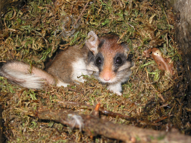 © Foto: Rudi Leitl Bild zum Eintrag (1077545-160)