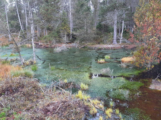 © Foto: Sebastian Neubaue Bild zum Eintrag (1077823-160)