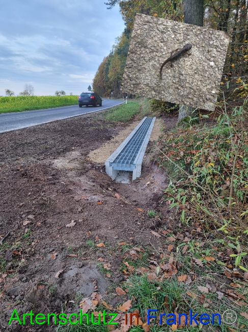 © Artenschutz in Franken® Bild zum Eintrag (1078049-160)