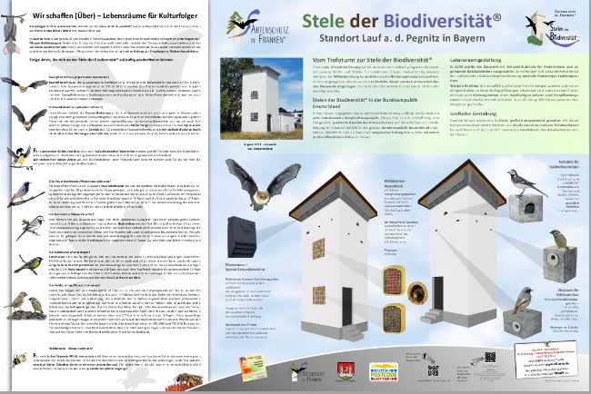 © Artenschutz in Franken® Bild zum Eintrag (1078240-160)