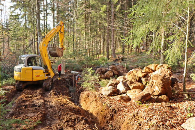©Foto: Nationalpark Bayerischer Wald Bild zum Eintrag (1078631-160)