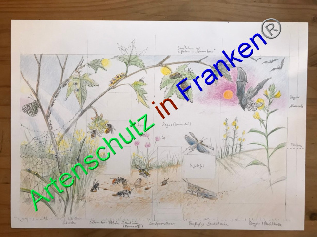 Bild zum Eintrag (1079397-160)