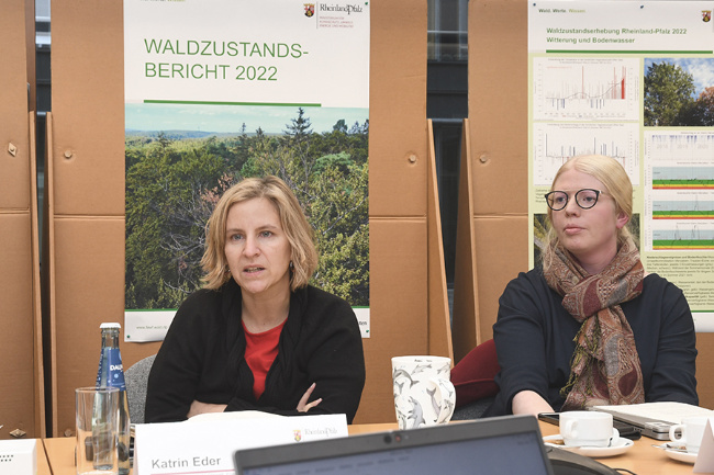 © MKUEM Bild zum Eintrag (1079520-160)