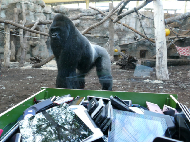 ©Zoo Frankfurt Bild zum Eintrag (1079590-160)