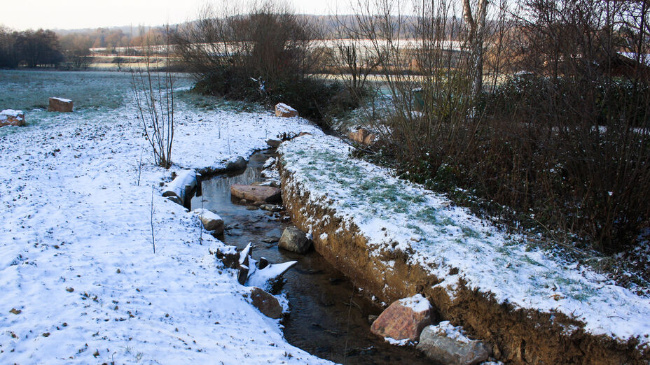 © Ulrich Kaiser / HMUKLV Bild zum Eintrag (1080166-160)