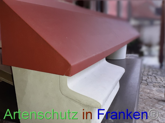 © Artenschutz in Franken® Bild zum Eintrag (1080529-160)