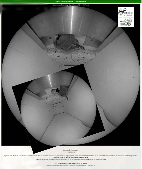 © Artenschutz in Franken® Bild zum Eintrag (1080642-160)