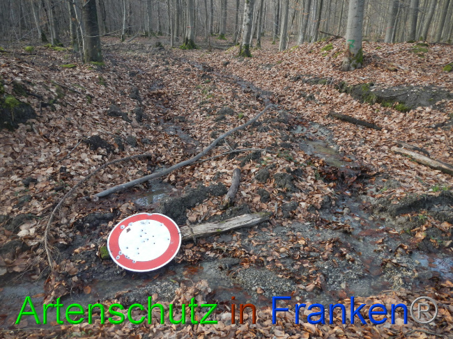 © Artenschutz in Franken® Bild zum Eintrag (1080900-160)