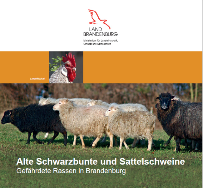 © Ministerium für Landwirtschaft, Umwelt und Klimaschutz des Landes Brandenburg Referat Öffentlichkeitsarbeit, Internationale Kooperation Bild zum Eintrag (1080928-160)