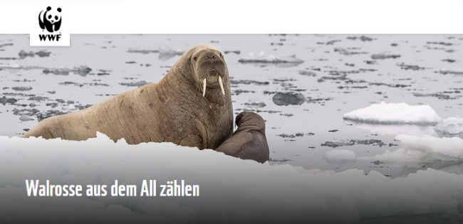 © WWF Bild zum Eintrag (1081479-160)