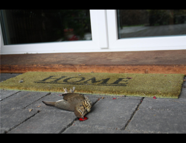 © NABU/Anette Wolff Bild zum Eintrag (1081699-160)