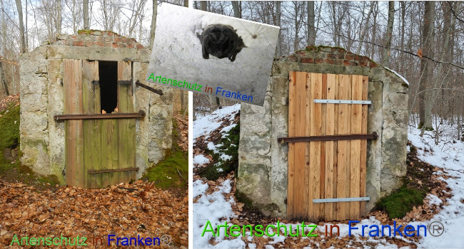 © Artenschutz in Franken® Bild zum Eintrag (1081969-160)