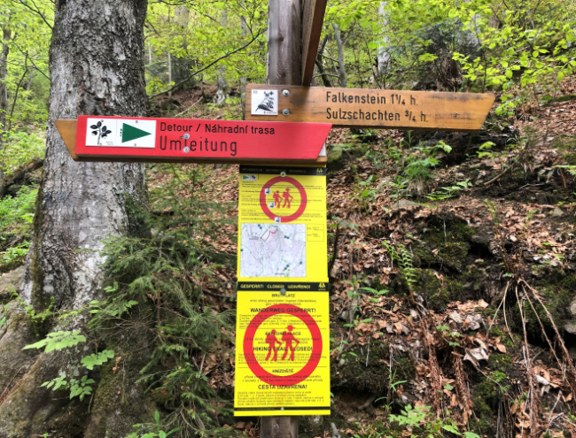 © Foto: Nationalpark Bayerischer Wald Bild zum Eintrag (1081977-160)