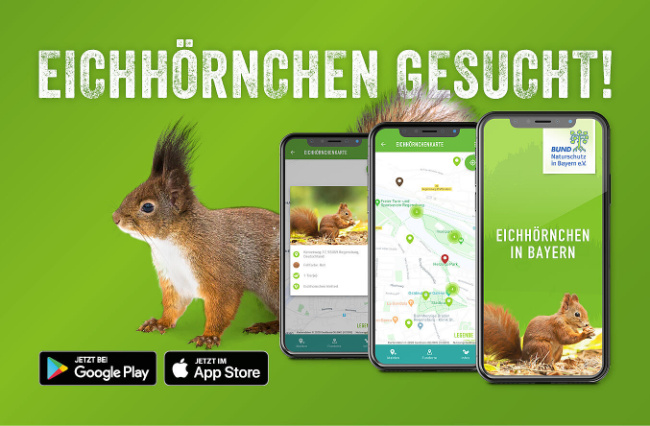 © BUND NATURSCHUTZ IN BAYERN E.V. (BN) Bild zum Eintrag (1082135-160)