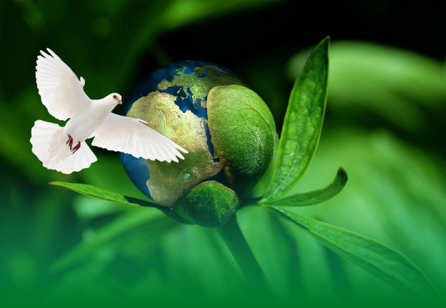 © Deutsche Bundesstiftung Umwelt Bild zum Eintrag (1082145-160)