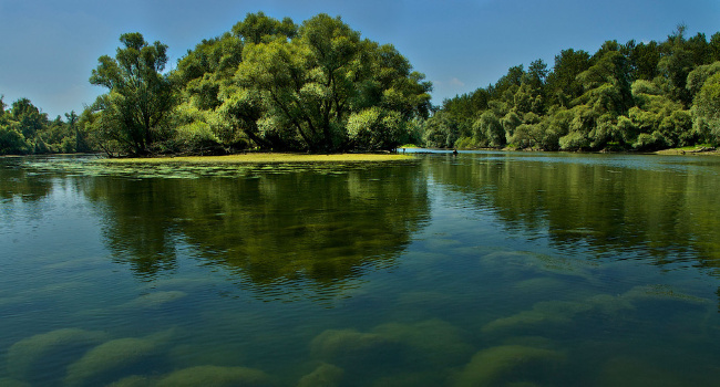 © Arno Helfer Bild zum Eintrag (1082254-160)