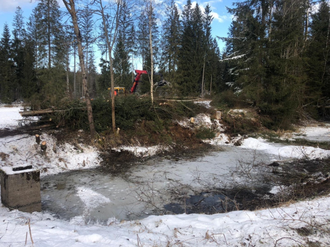 © Foto: Nationalpark Bayerischer Wald Bild zum Eintrag (1082356-160)