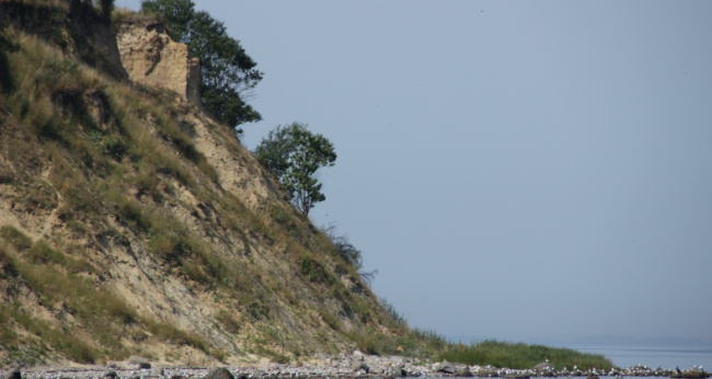 © Landschaftspflegeverein Dummersdorfer Ufer e.V. Bild zum Eintrag (1082648-160)