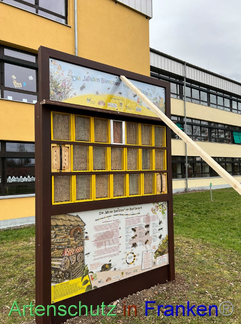 © Artenschutz in Franken® Bild zum Eintrag (1084209-160)