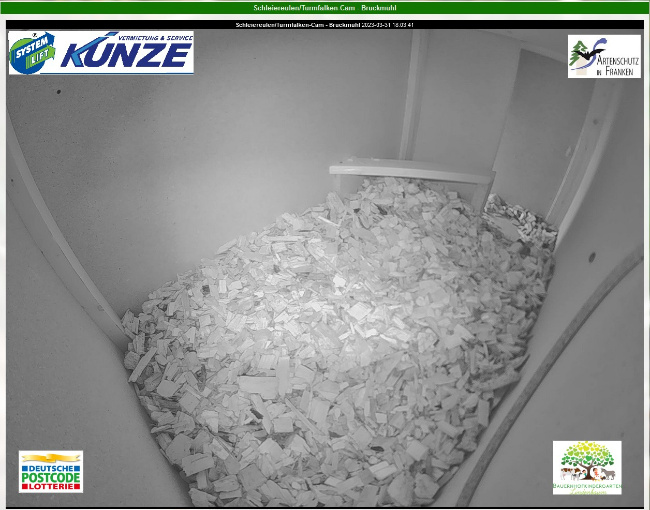 © Artenschutz in Franken® Bild zum Eintrag (1084424-160)