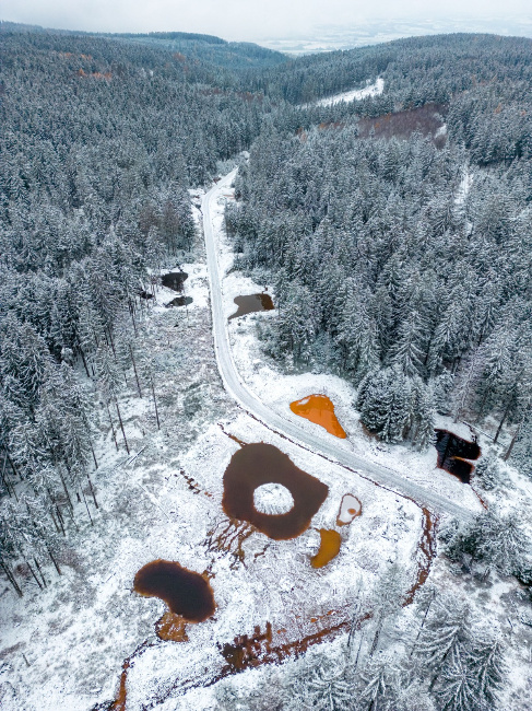 © Bayerische Staatsforsten AöR Bild zum Eintrag (1084816-160)