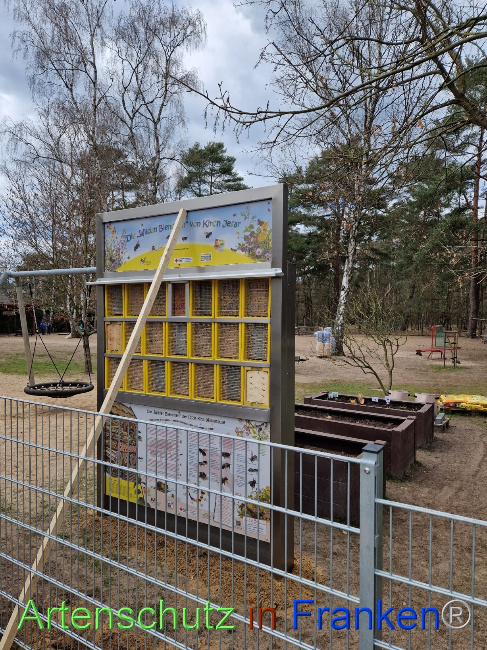 © Artenschutz in Franken® Bild zum Eintrag (1084859-160)