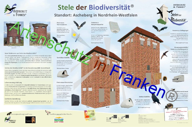 © Artenschutz in Franken® Bild zum Eintrag (1084970-160)