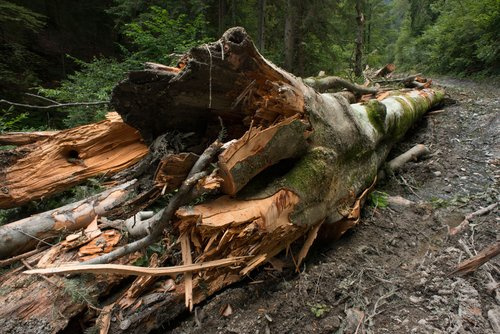 © Matthias Schickhofer Bild zum Eintrag (1085070-160)