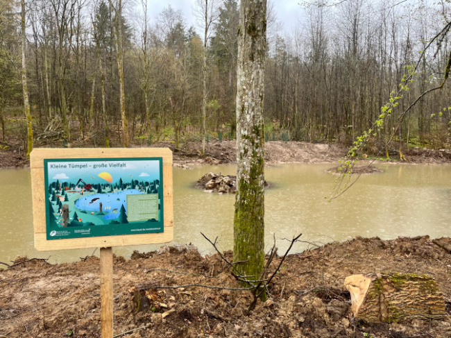 © Bayerische Staatsforsten AöR Bild zum Eintrag (1085252-160)