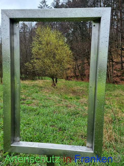 © Artenschutz in Franken® Bild zum Eintrag (1085336-160)