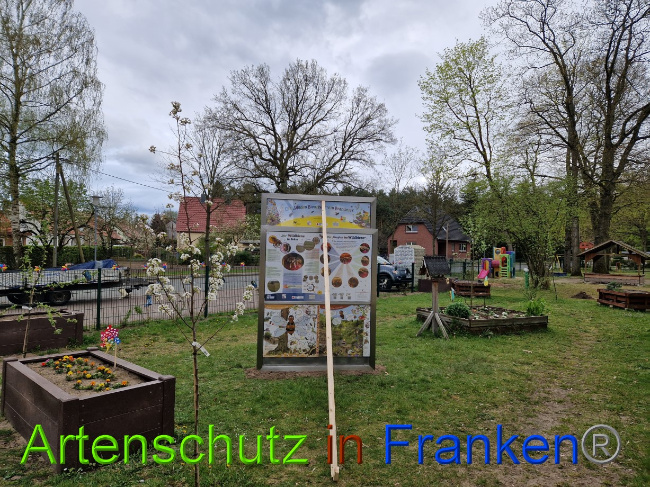 © Artenschutz in Franken® Bild zum Eintrag (1085848-160)