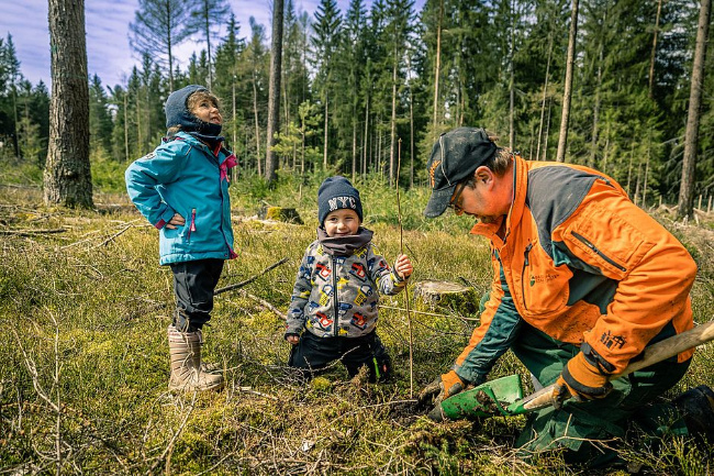 © Bayerische Staatsforsten AöR Bild zum Eintrag (1086054-160)
