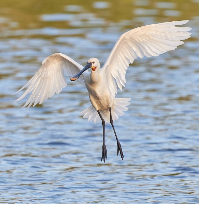 © Holger Onnebrink Bild zum Eintrag (1086256-160)