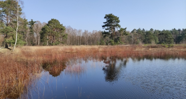 © Jens Schiller Bild zum Eintrag (1086496-160)