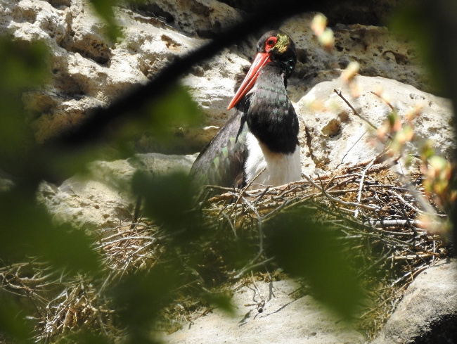 © Foto: M Hörenz Bild zum Eintrag (1086519-160)