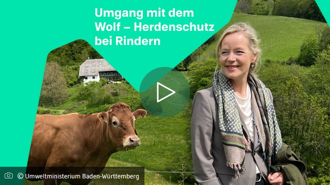 © Ministerium für Umwelt, Klima und Energiewirtschaft Baden-Württemberg Bild zum Eintrag (1086957-160)