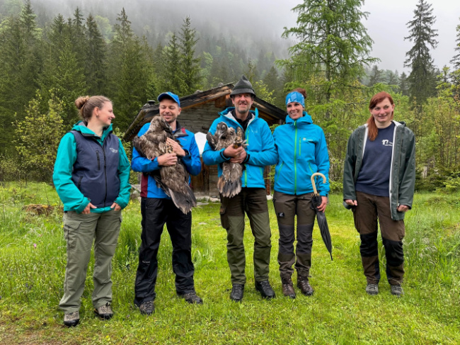 © – © NPV BGD: Erster Auftritt der jungen Bartgeier Bild zum Eintrag (1087389-160)