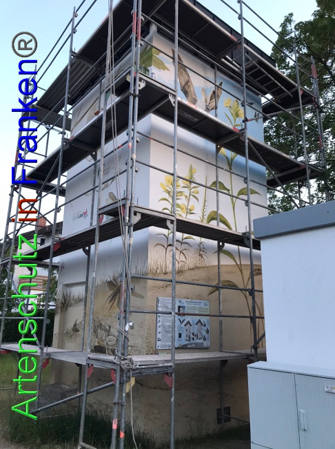 © Artenschutz in Franken® Bild zum Eintrag (1087722-160)