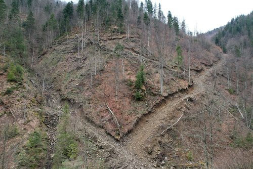 © EuroNatur Bild zum Eintrag (1088080-160)
