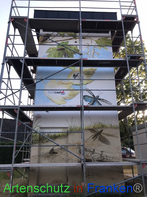© Artenschutz in Franken® Bild zum Eintrag (1088238-160)